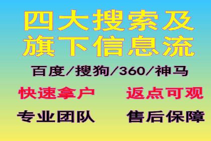 SEM服务案例：打造行业领先品牌